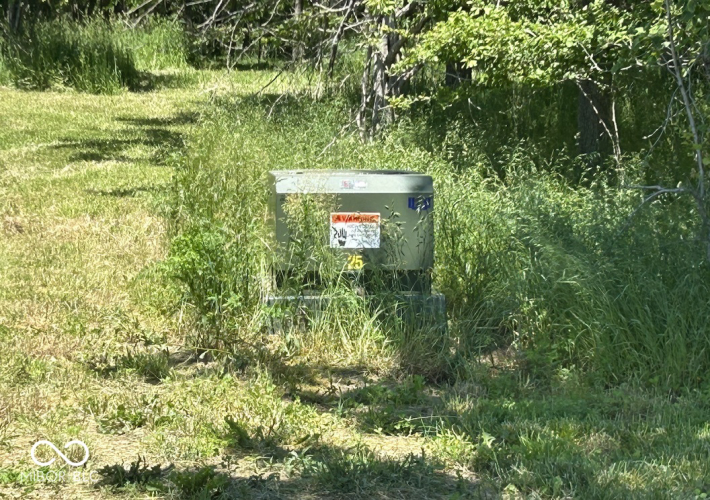 Listing Image 19