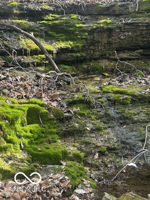 Listing Image 55