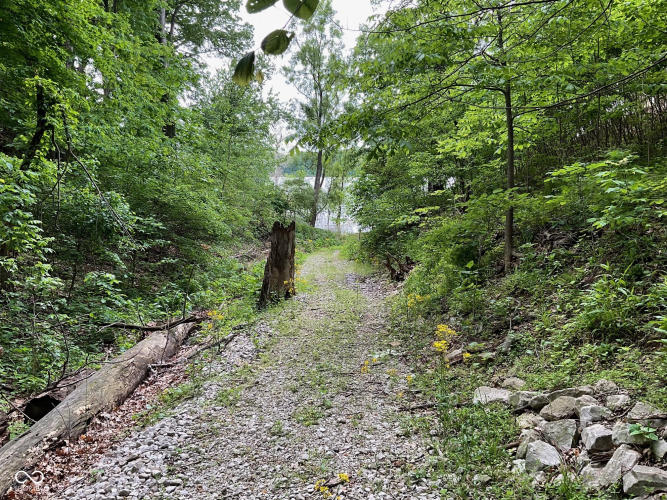 Listing Image 36