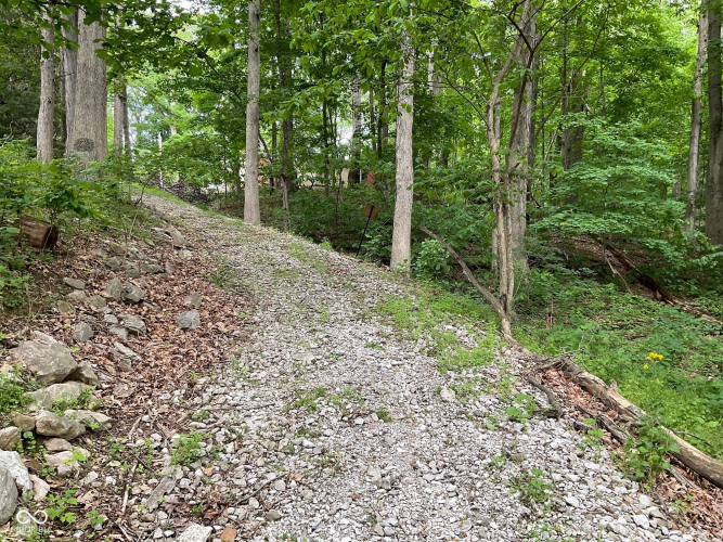 Listing Image 37