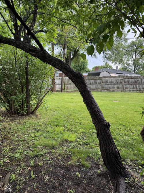 Listing Image 12