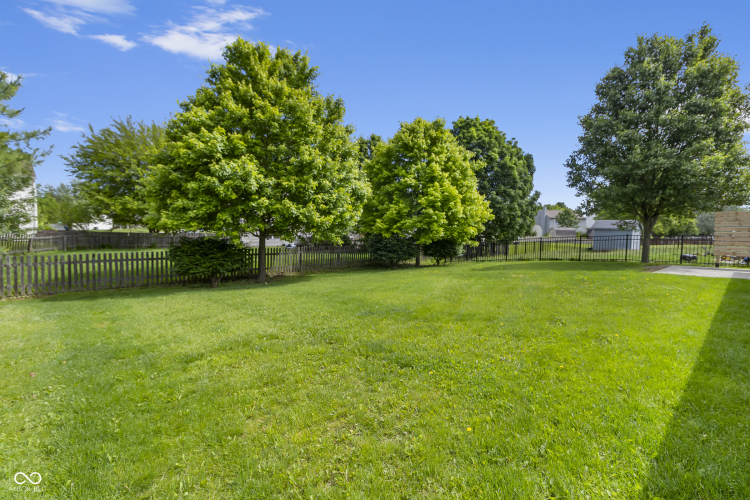 Listing Image 49