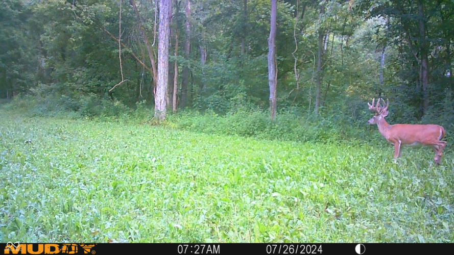 Listing Image 103