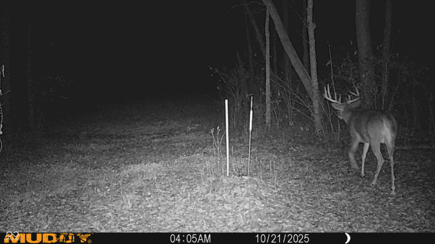 Listing Image 104