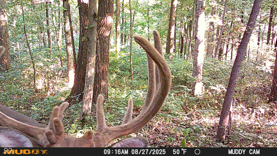 Listing Image 106