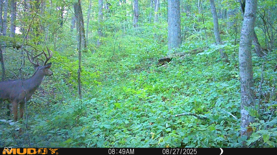 Listing Image 107