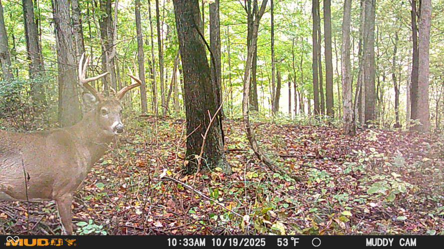 Listing Image 108