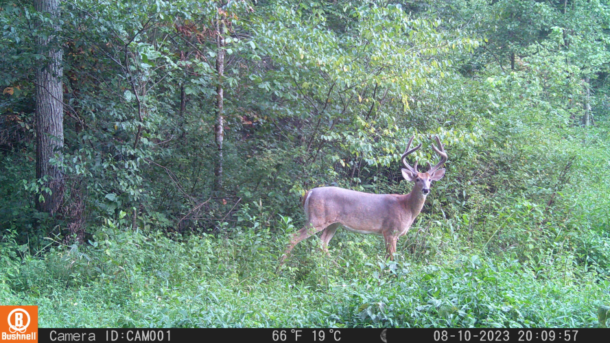 Listing Image 109