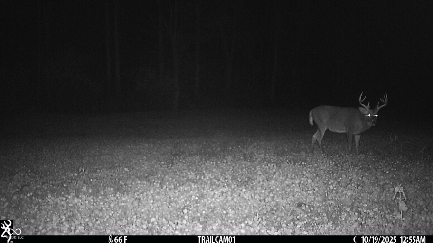 Listing Image 115