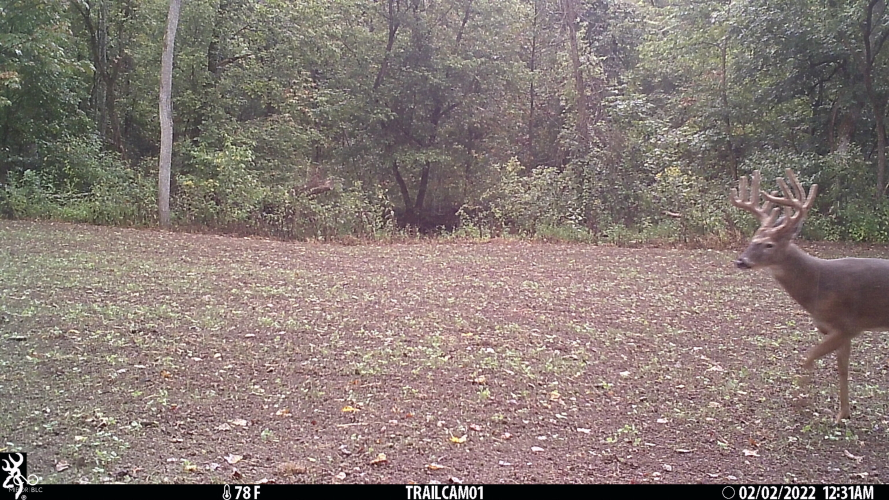 Listing Image 117