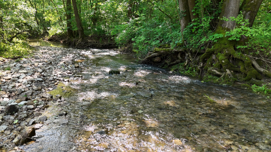 Listing Image 118