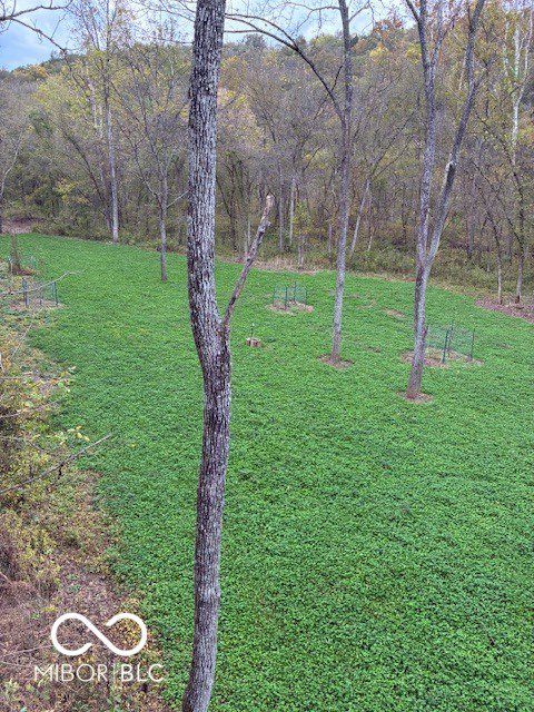 Listing Image 119