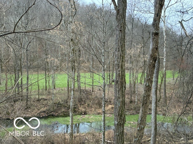 Listing Image 120