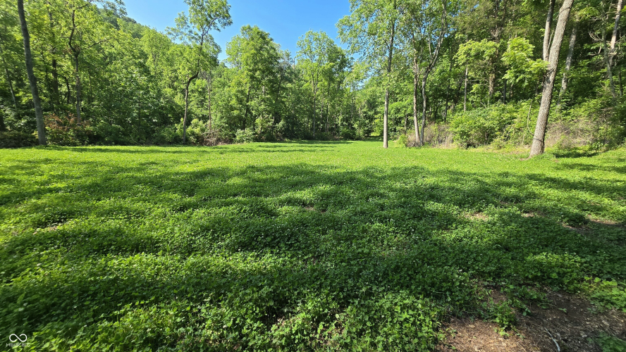 Listing Image 17