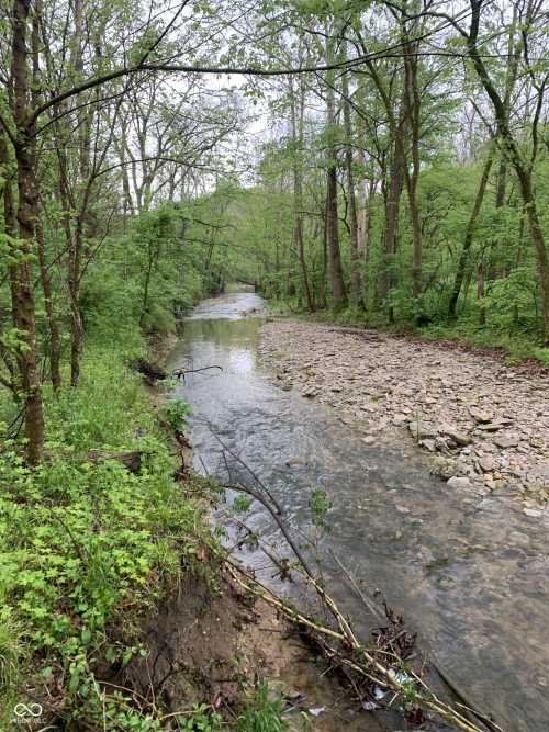 Listing Image 24