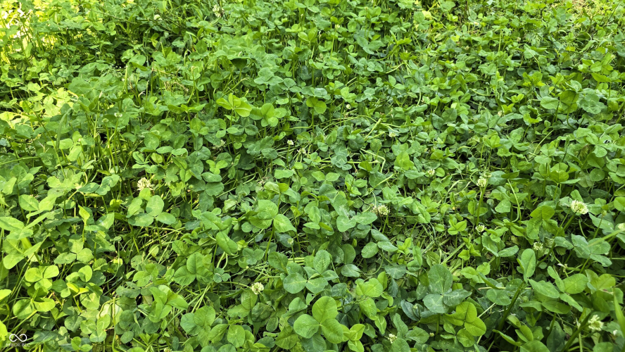 Listing Image 55