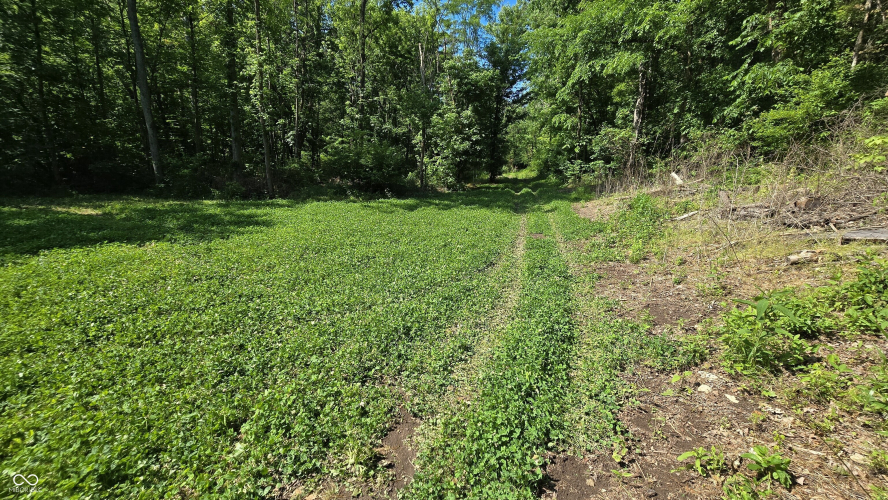 Listing Image 60