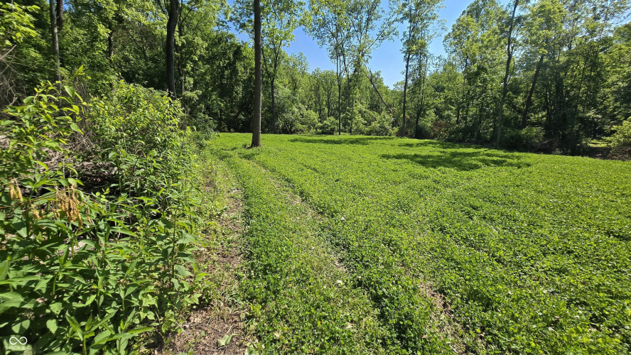 Listing Image 61