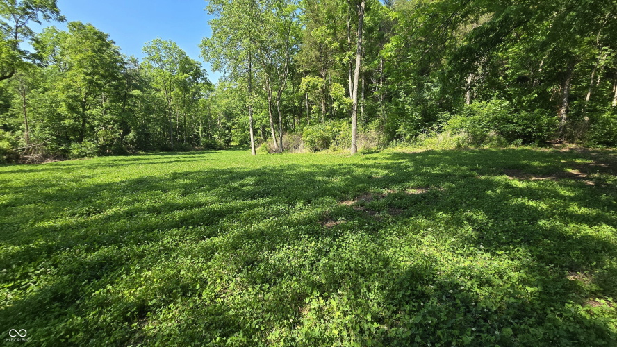 Listing Image 62
