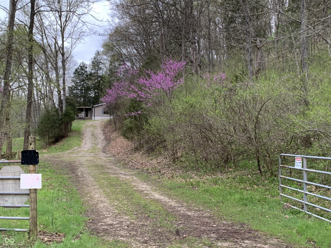 Listing Image 65