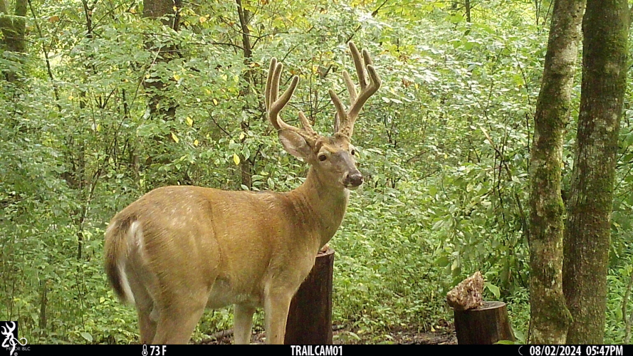 Listing Image 8