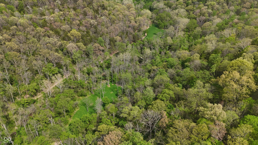 Listing Image 72