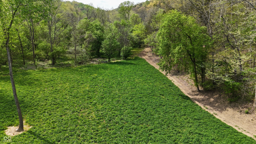 Listing Image 75