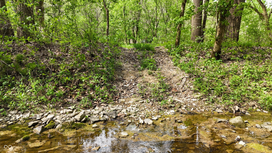 Listing Image 76