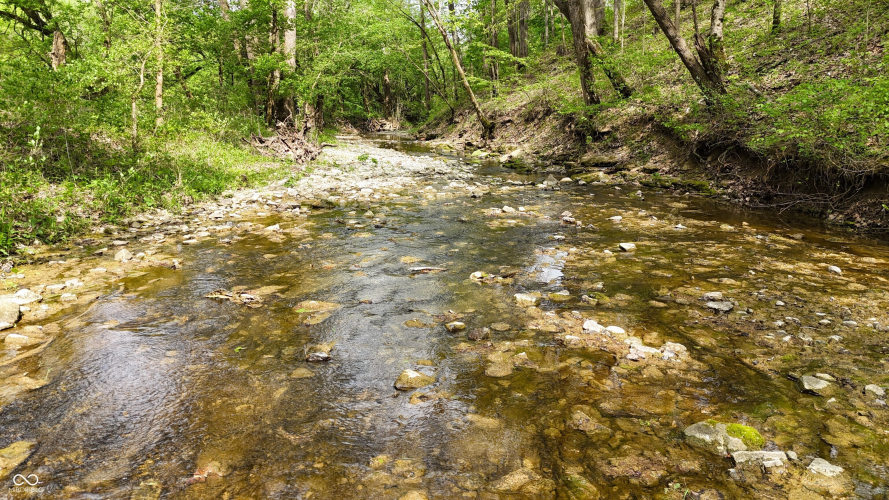 Listing Image 77