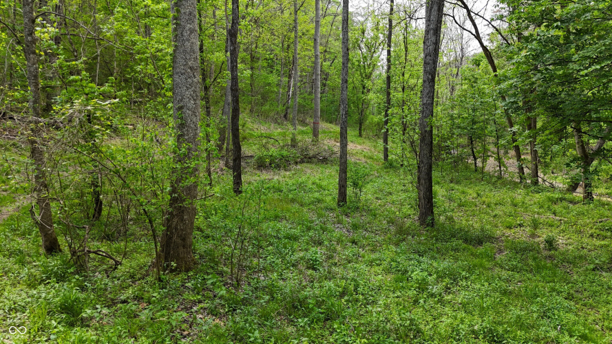 Listing Image 79