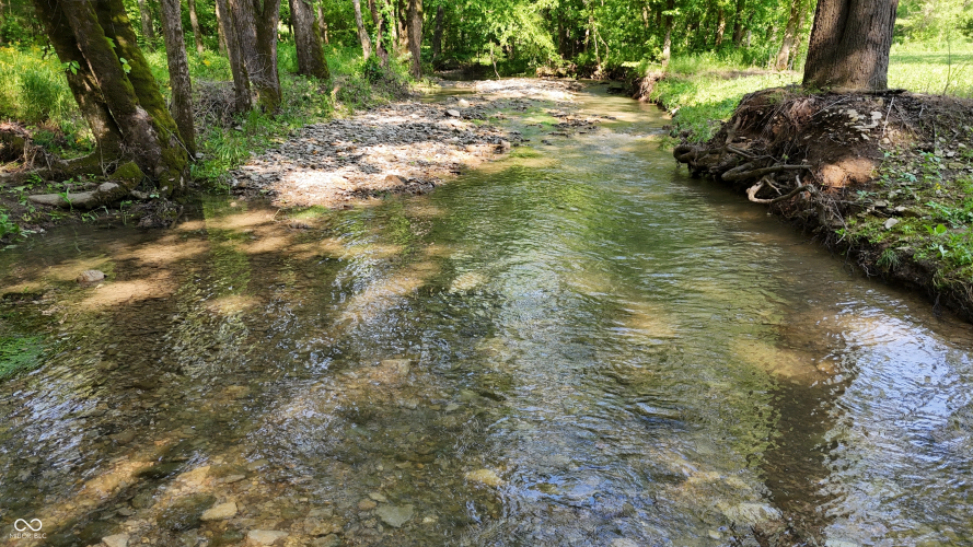 Listing Image 83