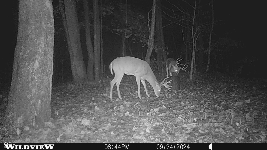 Listing Image 86