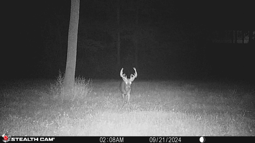 Listing Image 92