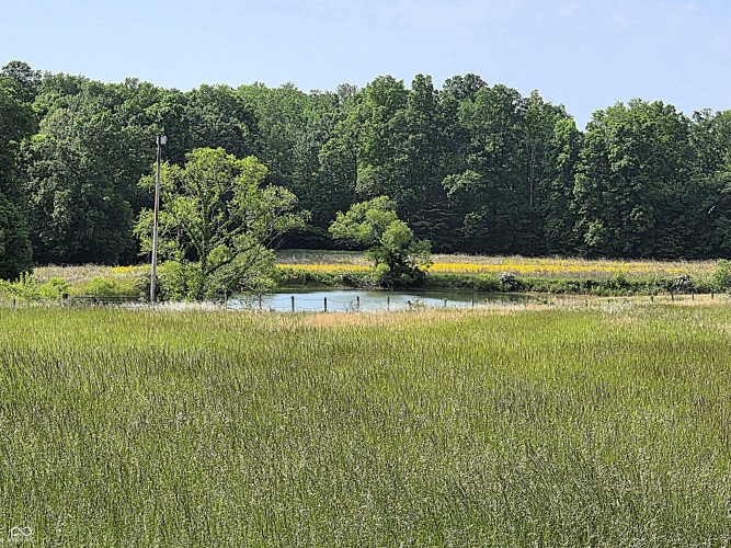 Listing Image 33