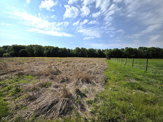 Listing Image 47