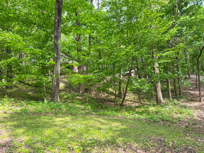 Listing Image 30
