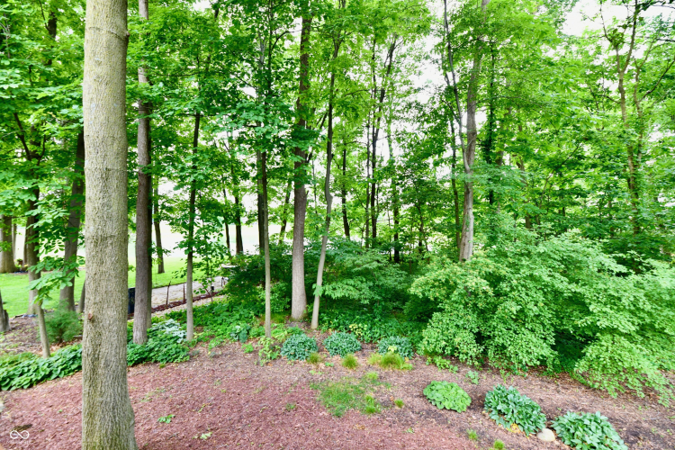 Listing Image 57