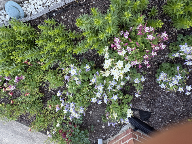 Listing Image 75
