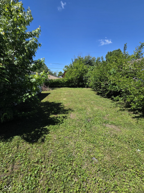Listing Image 5