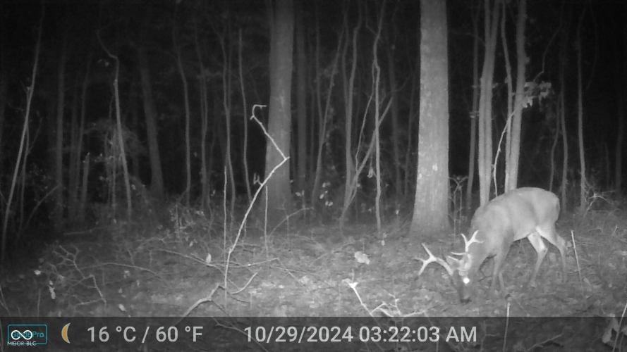 Listing Image 63