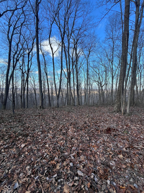 Listing Image 77