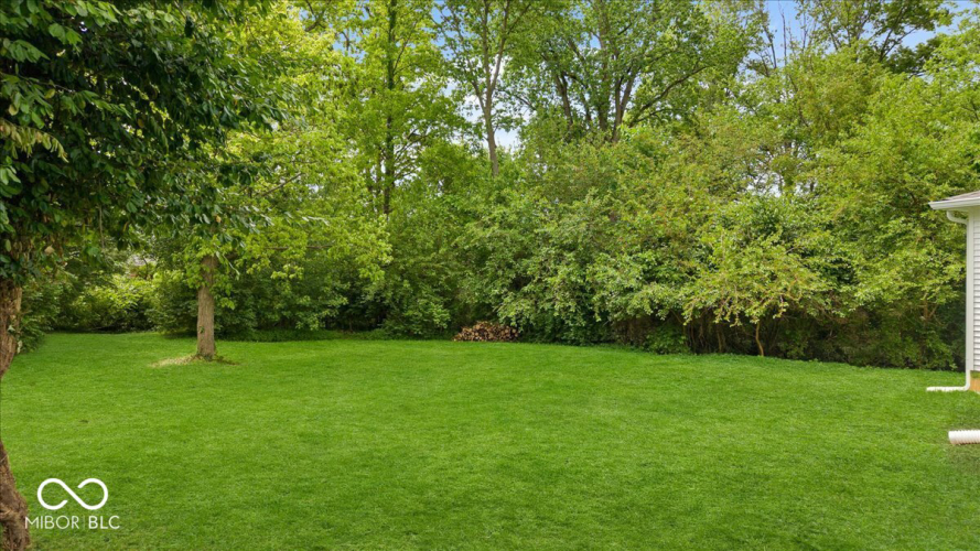 Listing Image 51