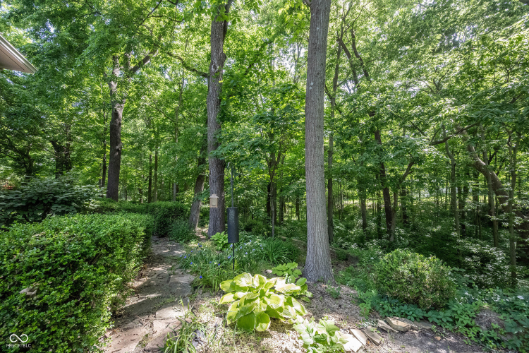 Listing Image 64