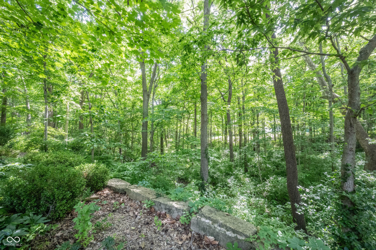 Listing Image 65
