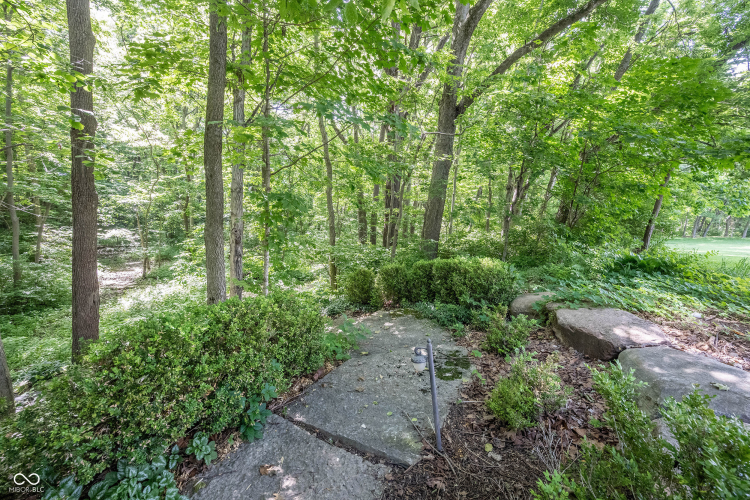 Listing Image 66
