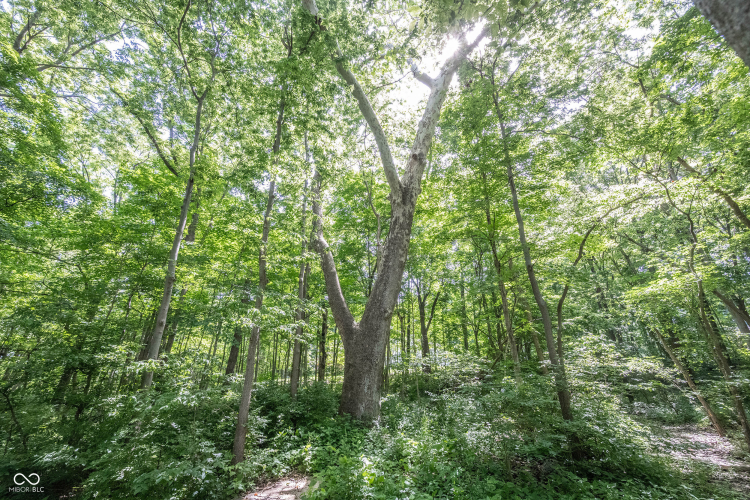 Listing Image 74