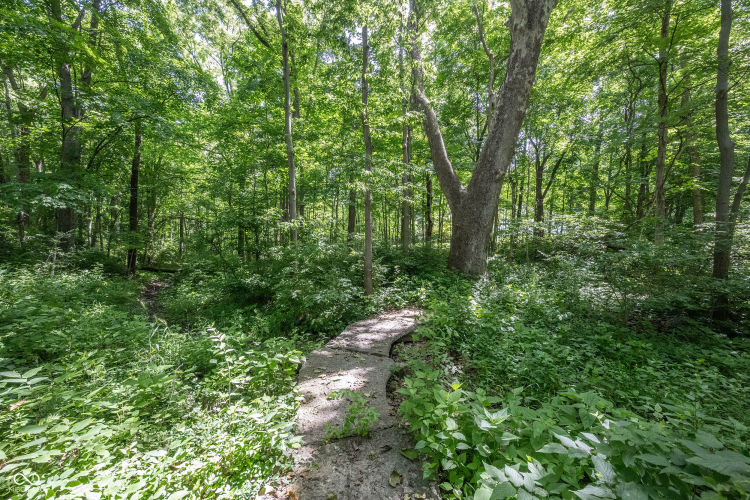 Listing Image 75
