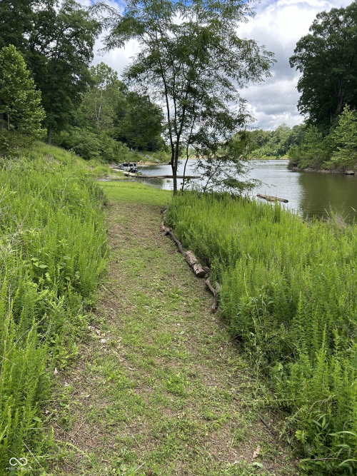 Listing Image 65