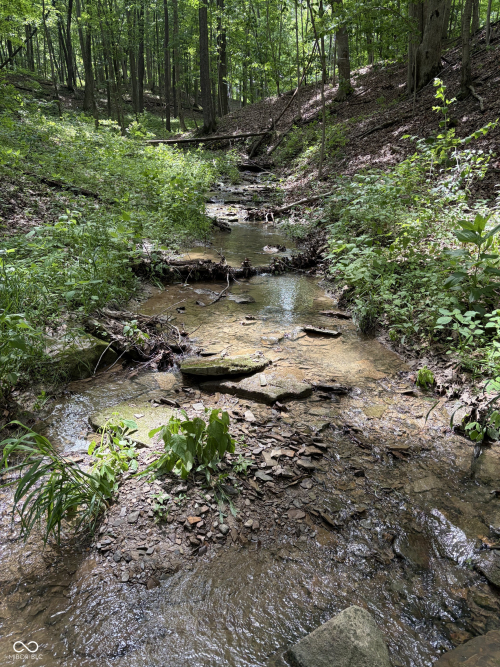 Listing Image 66