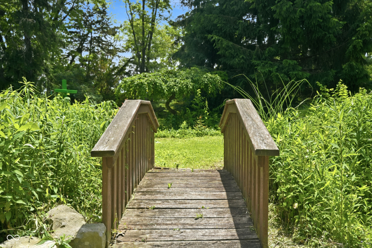 Listing Image 36